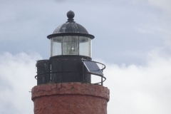 ORG_DSC03327